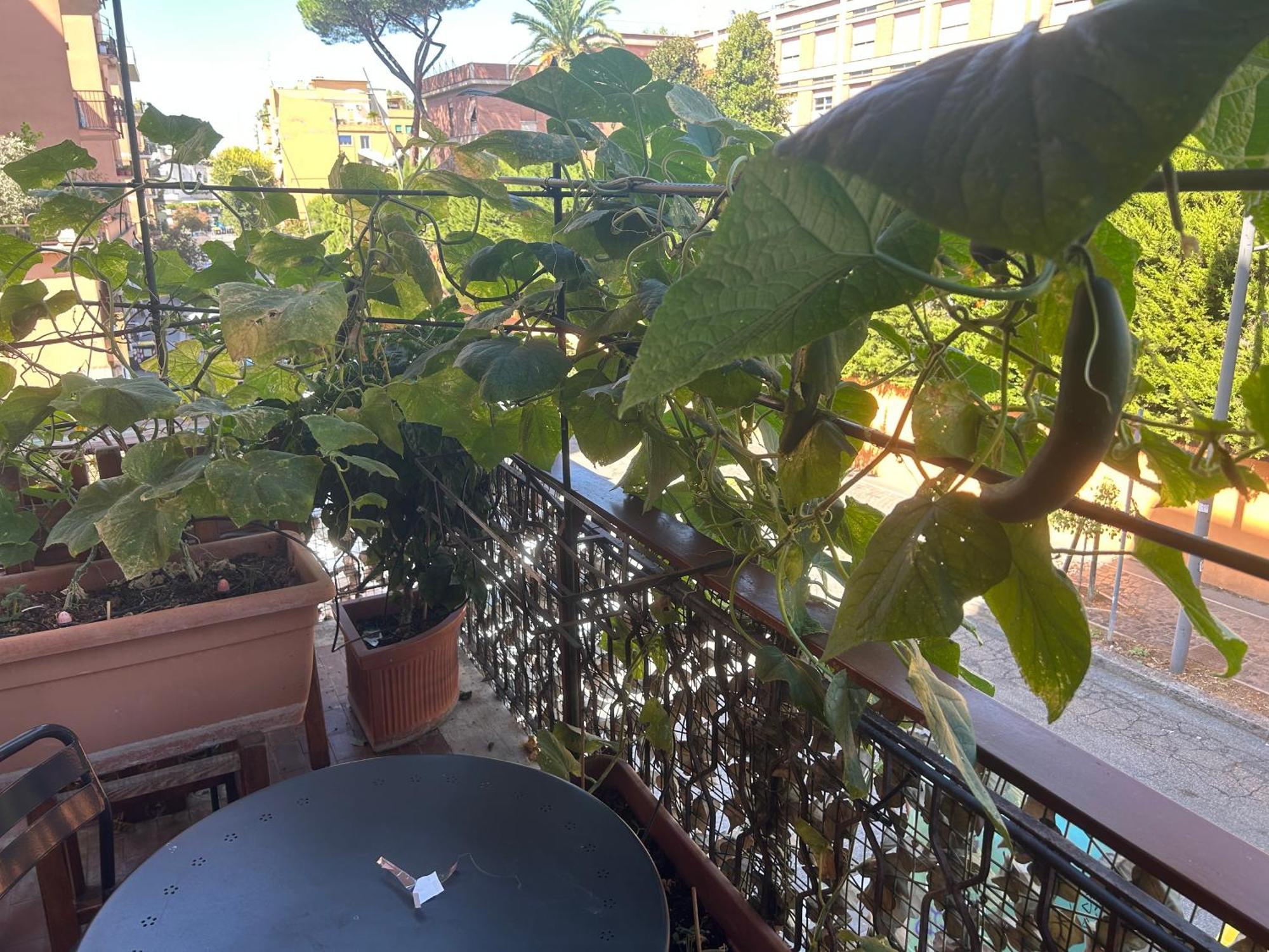 La Fontana Di Carlotta Bed & Breakfast Roma Dış mekan fotoğraf