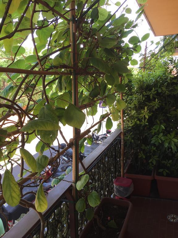 La Fontana Di Carlotta Bed & Breakfast Roma Dış mekan fotoğraf