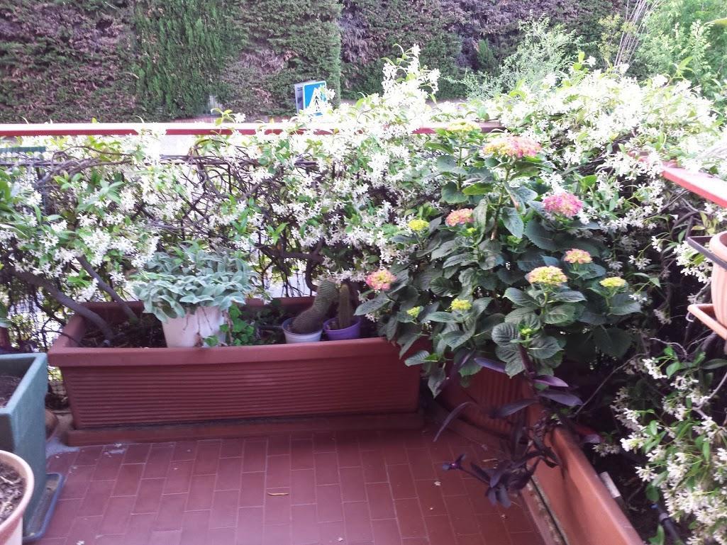 La Fontana Di Carlotta Bed & Breakfast Roma Dış mekan fotoğraf